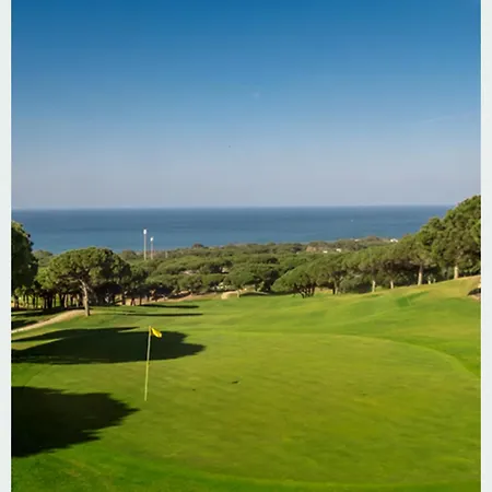 Moumi * Marbella